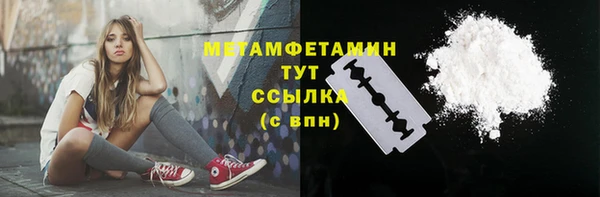 индика Новодвинск