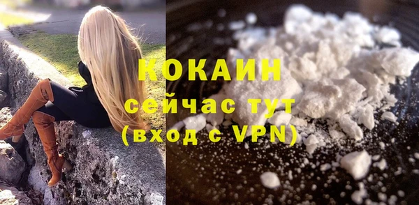 PSILOCYBIN Новокубанск