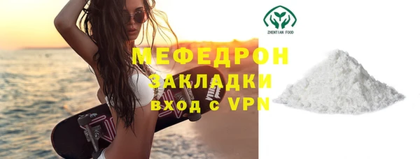 индика Новодвинск