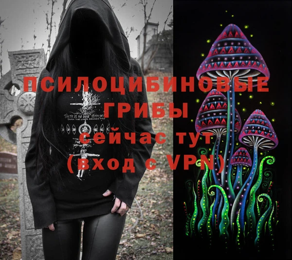 гашик Новозыбков