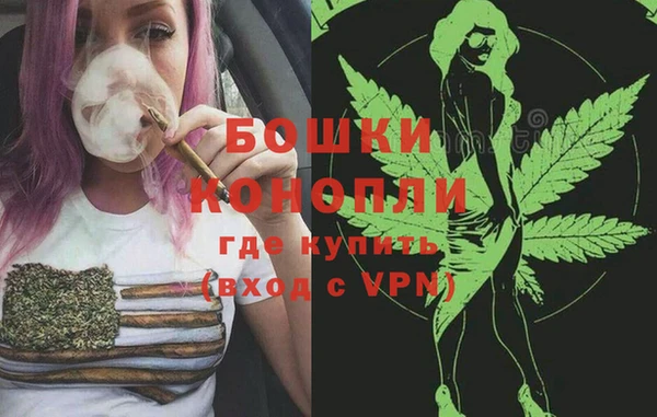 гашик Новозыбков