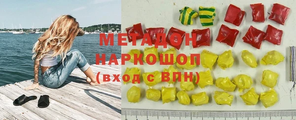 индика Новодвинск