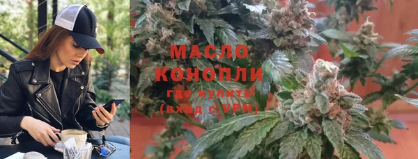 гашик Новозыбков