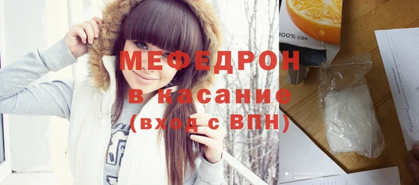 индика Новодвинск