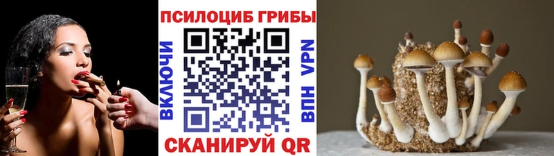 ОМГ ОМГ как зайти  Дербент  Псилоцибиновые грибы MAGIC MUSHROOMS 